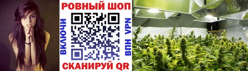 Магазины продажи наркотиков Камень-на-Оби АМФ  MEGA рабочий сайт  Альфа ПВП  ГАШИШ 