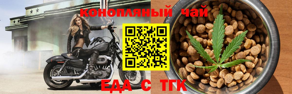 ГАШ Камень-на-Оби