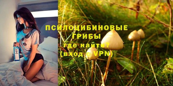 прущие крисы Саяногорск