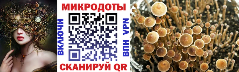 наркошоп ссылка на мегу ТОР Псилоцибиновые грибы Cubensis Камень-на-Оби