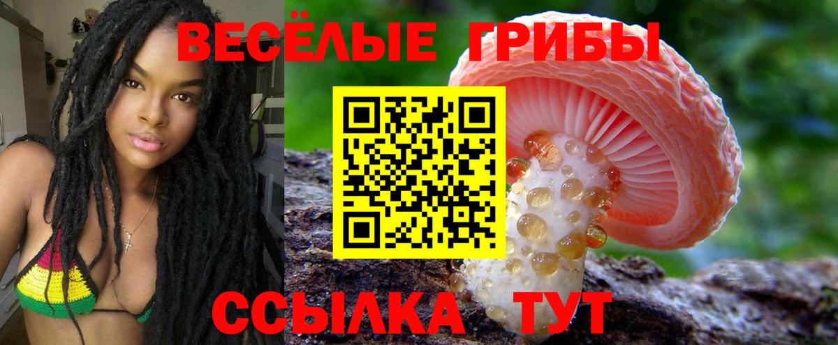 Галлюциногенные грибы ЛСД Камень-на-Оби